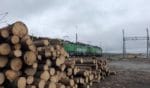 Rundvirke och ett Green Cargo-tåg