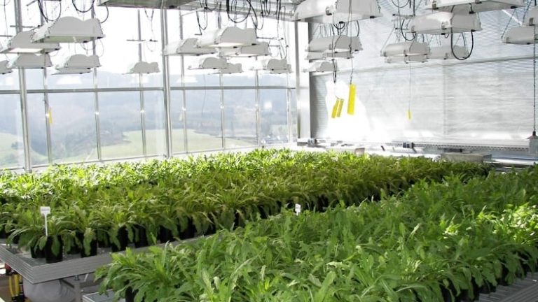 Redo att lämna labbet, tycker Continental och Fraunhofer.