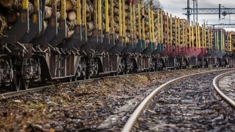 Företaget Specialvirke hjälper virkessäljare att hitta rätt köpare – och att rulla fram varorna till dem. Nu anlitas CFL Cargo som järnvägsoperatör i ett omfattande treårsavtal.