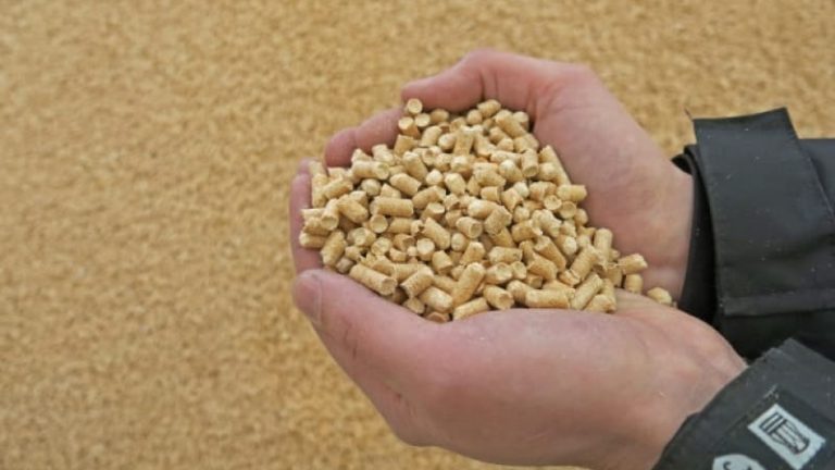 Hur många jobb ger jag när jag blir stor?