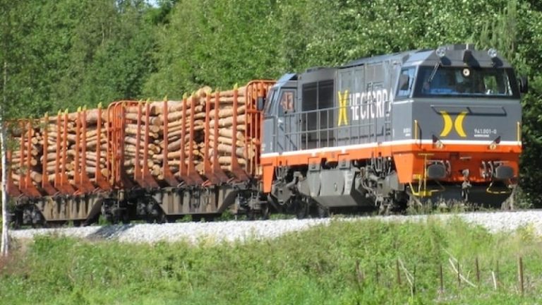 Hector Rail uppger att man är störst i Europa på transporter av rundvirke med totalt sex miljoner kubikmeter. Hector Rail uppger att man är störst i Europa på transporter av rundvirke med totalt sex miljoner kubikmeter.