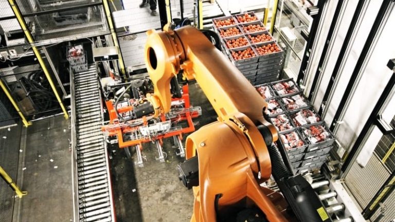 Frukt- och gröntlogistikern Nowaste har de senaste åren breddat sig till att hantera vitt skilda varugrupper åt externa kunder i sitt högt automatiserade lager i Helsingborg. Företaget växte med 37 procent förra året, och klättrade till plats sex på vår lista över Sveriges största 3PL-bolag – inte långt efter DSV Solutions.