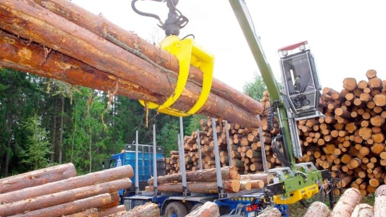 Skogskranar hör till de Hiabprodukter som hittills har tillverkats i Hudiksvall. Nu stängs fabriken, under branschens kostnadspress.