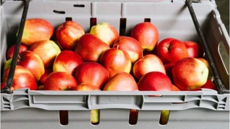 (Bild: Svenska Retursystem) (Bild: Svenska Retursystem)