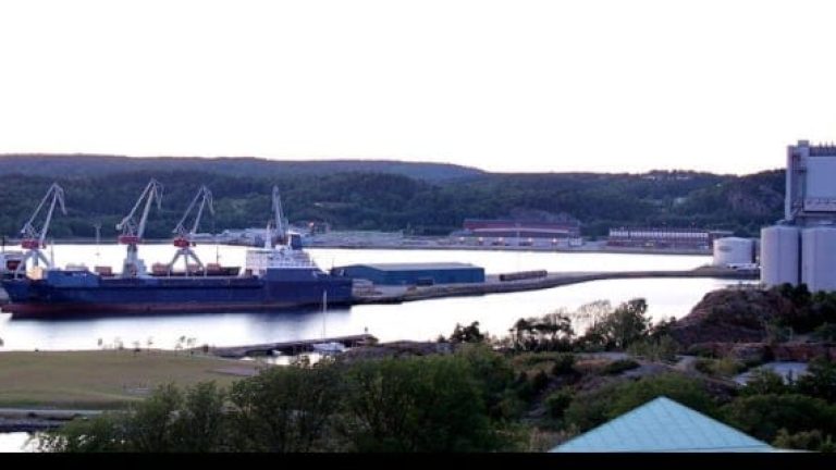 (Bild: Wikipedia/Chell Hill)