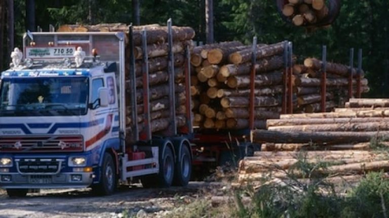 Biltillverkarna prioriterar motorstyrka, därför har inget hänt när det gäller bränsleförbrukningen för skogstransporter, menar Claes Löfroth, Skogforsk. Biltillverkarna prioriterar motorstyrka, därför har inget hänt när det gäller bränsleförbrukningen för skogstransporter, menar Claes Löfroth, Skogforsk.