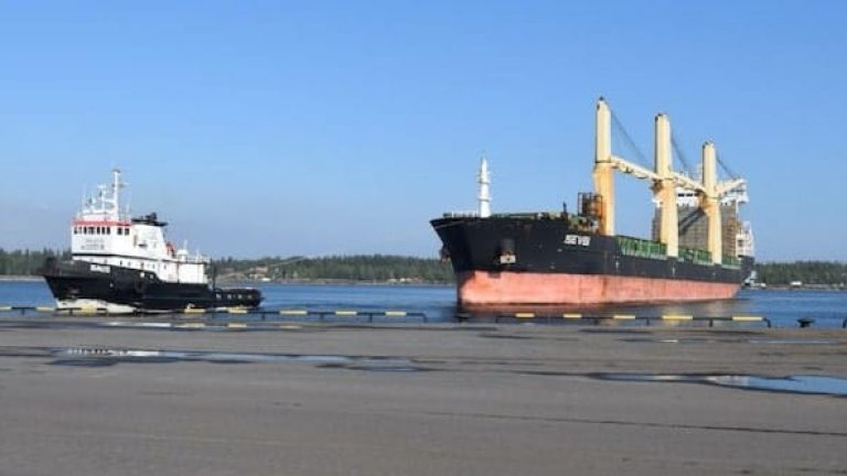 (Bild: Sklellefteå Hamn)