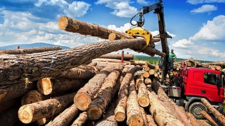 (Bild: Mittuniversitetet)